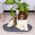 Dog Bed Ferplast-3