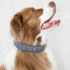 collars-1