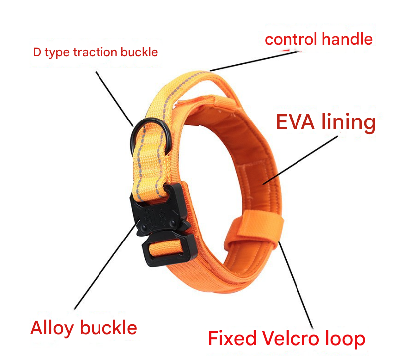 NNEDSZ L Green Hands-Free Dog Leash with Adjustable Waist Belt - Shock Absorbing Bungee Lead-2