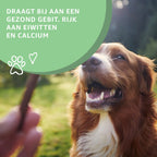 Yakstaven XL - Natuurlijke Hondensnack uit Himalaya | Woef Woef Snacks
