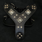 The "Eros" all Black Harness-0