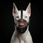 ''Eros'' Basket Muzzle black & orange-1