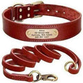 Royal Canine Elegance Personalised Leather Dog Collar & Leash Set 🐾-5