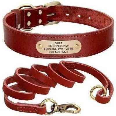 Royal Canine Elegance Personalised Leather Dog Collar & Leash Set 🐾-5