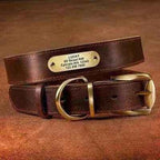Royal Canine Elegance Personalised Leather Dog Collar & Leash Set 🐾-1
