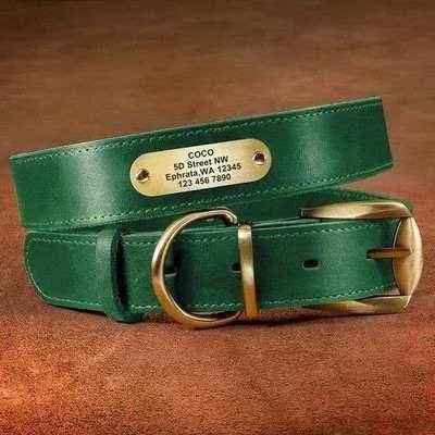 Royal Canine Elegance Personalised Leather Dog Collar & Leash Set 🐾-8