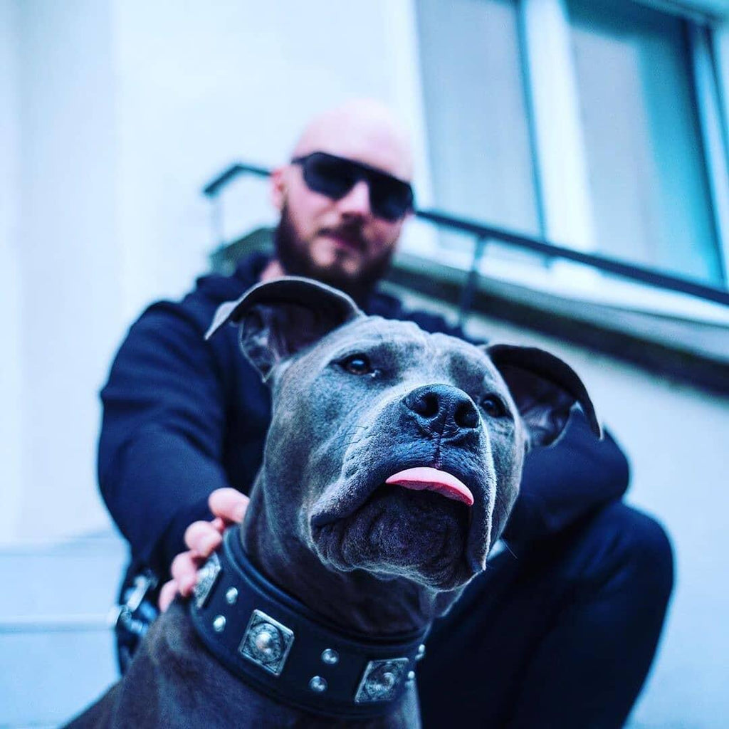 The all Black "Eros" collar 2.5 inch wide-2