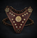 The ''Maximus'' harness Brown & Gold Small to Medium Size