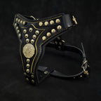 The ''Maximus'' harness V2 Medium Size-1